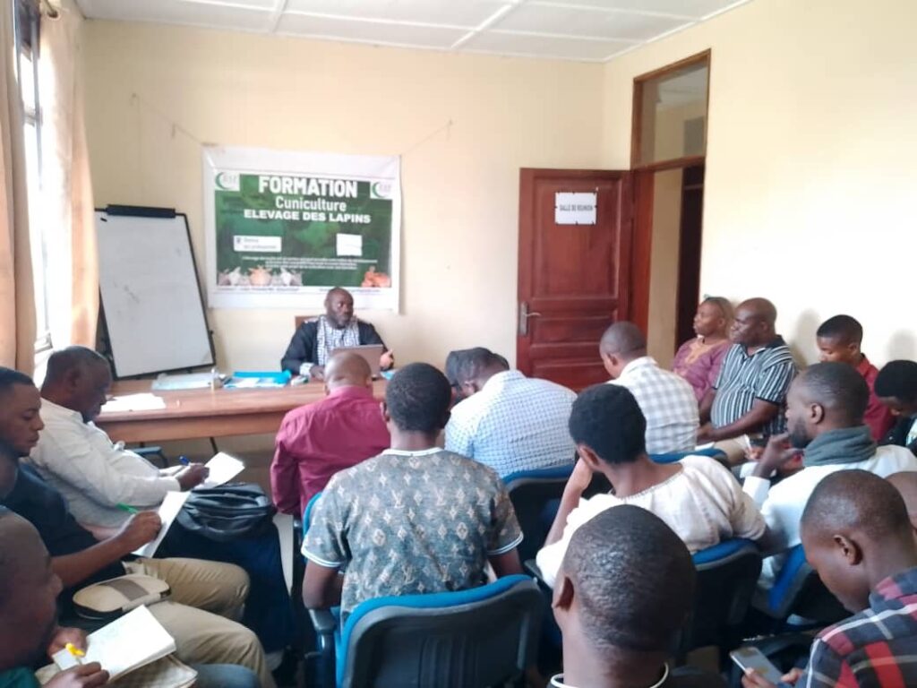 eafbd8ff 8e8c 456e b2fb 458752e42e70